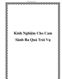 Kinh Nghiệm Cho Cam Sành Ra Quả Trái Vụ