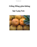 Giống Hồng giòn không hạt Lạng Sơn