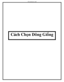 Cách Chọn Dông Giống