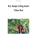 Kinh nghiệm trồng cây bưởi Năm Roi