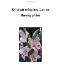 Tài liệu Kỹ thuật trồng hoa Lay ơn thương phẩm