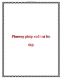 Phương pháp nuôi cá lóc thịt