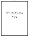 Các kỹ thuật nuôi cá bống tượng hay dành cho nhà nông