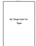 Kỹ Thuật Nuôi Vit Ngan