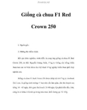 Giống cà chua F1 Red Crown 250