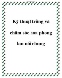 Kỹ thuật trồng và chăm sóc hoa phong lan nói chung