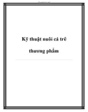 Kỹ thuật nuôi cá trê thương phẩm