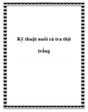 Kỹ thuật nuôi cá tra thịt trắng