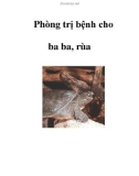 Phòng trị bệnh cho ba ba, rùa