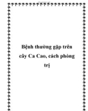 Bệnh thường gặp trên cây Ca Cao, cách phòng trị