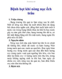 Bệnh bọt khí nòng nọc ếch trâu