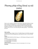 Phương pháp trồng khoai sọ núi (môn)