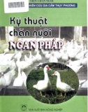 Phương pháp và kỹ thuật chăn nuôi ngan Pháp