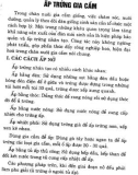 Một kỹ thuật mới cho chăn nuôi vịt trên cạn: Phần 2