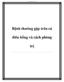 Bệnh thường gặp trên cá điêu hồng và cách phòng trị