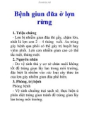 Bệnh giun đũa ở lợn rừng