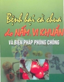 Bệnh hại cà chua do nấm, vi khuẩn và biện pháp phòng chống