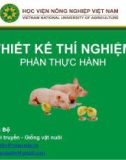 Bài giảng Thiết kế thí nghiệm (Phần thực hành) - Bài 1: Tóm tắt, trình bày dữ liệu