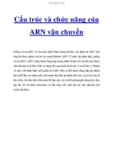 Cấu trúc và chức năng của ARN vận chuyển