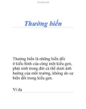 Thường biến