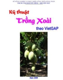 Kỹ thuật Trồng Xoài theo VietGAP