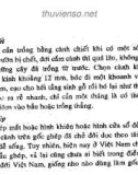 Kỹ thuật trồng Cây nho: Phần 2