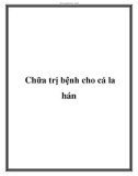 Chữa trị bệnh cho cá la hán