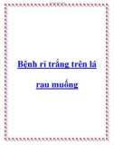 Bệnh rỉ trắng trên lá rau muống