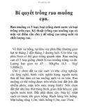 Bí quyết trồng rau muống cạn.