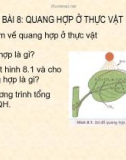 Hô hấp