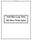 Nuôi Rắn Long Thừa (Hổ Mèo) Thoát Nghèo