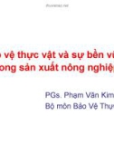 Bảo vệ thực vật và sự bền vững trong sản xuất nông nghiệp