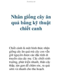 Nhân giống cây ăn quả bằng kỹ thuật chiết canh