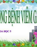 Bài 15: Phòng bệnh viêm gan A - Bài giảng điện tử Khoa học 5 - T.B.Minh