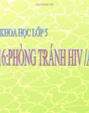 Bài 16: Phòng tránh HIV-AIDS - Bài giảng điện tử Khoa học 5 - L.K.Chi