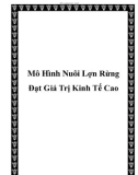 Mô Hình Nuôi Lợn Rừng Đạt Giá Trị Kinh Tế Cao