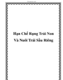 Hạn Chế Rụng Trái Non Và Nuôi Trái Sầu Riêng