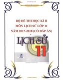 Bộ đề thi học kì 2 môn Lịch sử lớp 11 năm 2017-2018 có đáp án