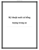 Kỹ thuật nuôi cá bống tượng trong ao