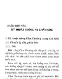 Kỹ thuật mới trồng hoa cho thu nhập cao (Quyển 5) : Phần 2