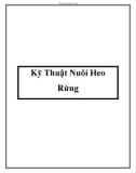 Kỹ Thuật Nuôi Heo Rừng