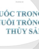 Thuốc trong nuôi trồng thủy sản