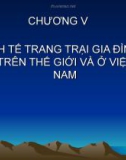 CHƯƠNG V KINH TẾ TRANG TRẠI GIA ĐÌNH TRÊN THẾ GIỚI VÀ Ở VIỆT NAM