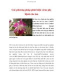 Các phương pháp phát hiện virus gây bệnh cho lan