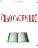 Bài giảng Bài 2: Địa hình và khoáng sản