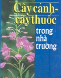 Cây cảnh - cây thuốc trong nhà trường part 1