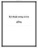 Kỹ thuật ương cá tra giống