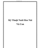 Kỹ Thuật Nuôi Heo Nái Và Con