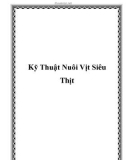 Kỹ Thuật Nuôi Vịt Siêu Thịt