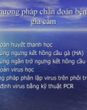 Các phương pháp chẩn đoán bệnh cúm gia cầm